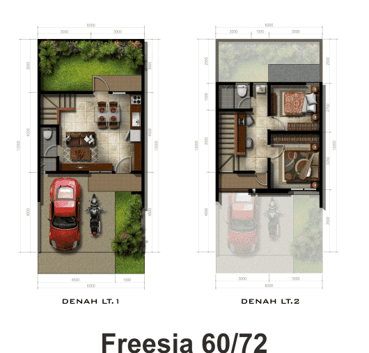Freesia-60-72-blueprint.png