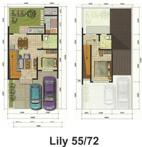 Lily-55-72-blueprint.png