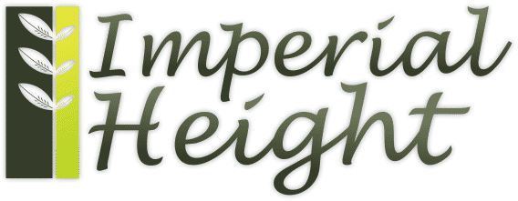 logo-2.png