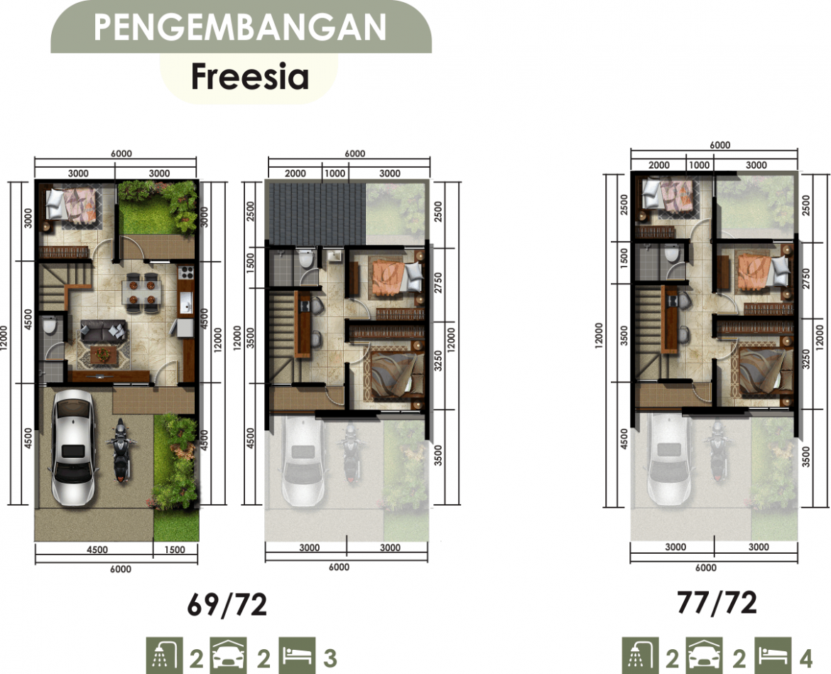 pengembangan-freesia.png