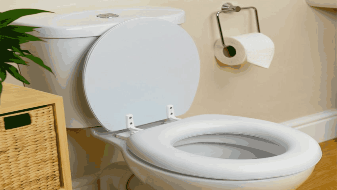 4 Cara Mengatasi WC yang Mampet